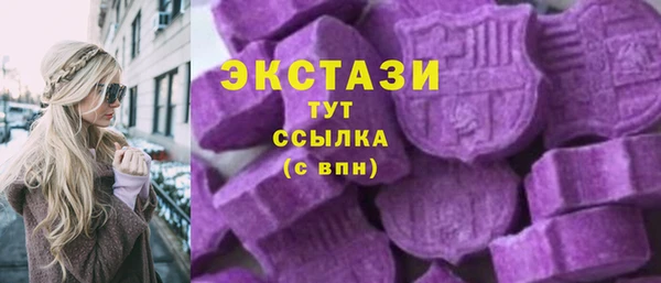 дживик Козельск