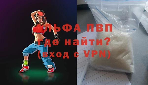 дживик Козельск
