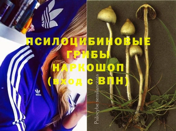 дживик Козельск