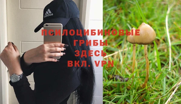 дживик Козельск