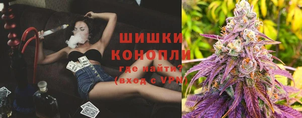 дживик Козельск